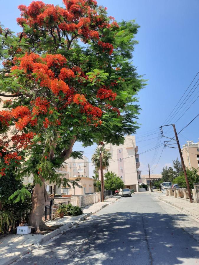 Large Apt 2 Bedrooms Sea View & 2 Balconies لارنكا المظهر الخارجي الصورة